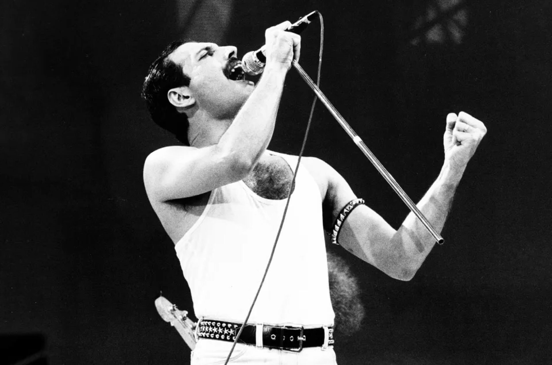 Freddy Mercury singing